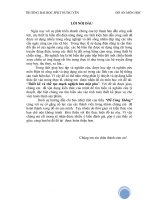 Thiết kế và chế tạo mạch nghịch lưu một pha