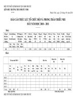 báo cáo thực lực Đội 2010  2011