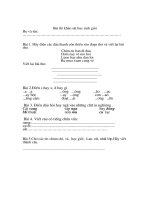 Bài thi khảo sát học sinh giỏi   Môn Tiếng Việt Lớp 1. ( Ng. Nga)