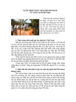 Bản tinh nhà kính GIẢM THIỂU PHÁT THẢI KHÍ METHANE TỪ CHĂN NUÔI BÒ THỊT