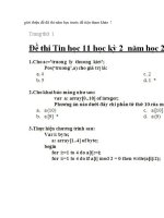 de thi tin hoc 11 hoc ki 2 nam 2010