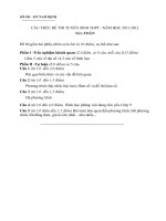 Cấu trúc đề thi Toán 11   12