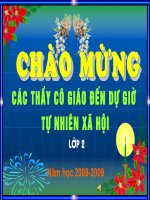 Tìm hiểu về bệnh giun