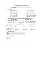 Bài thi học sinh giỏi môn TV lớp 1. ( Th. Luyến)