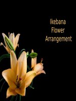 NGHỆ THUẬT CẮM HOA