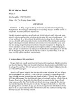 Văn hóa Brazin_ Quản trị đa văn hóa