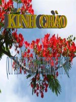 GIÁO ÁN LUYỆN TỪ VÀ CÂU LỚP 3 MỞ RỘNG VỐN TỪ: Sáng tạo. Dấu phẩy, dấu chấm, dấu chấm hỏi