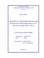 Ảnh hưởng của một số biện pháp kỹ thuật đến khả năng nhân giống bằng vảy củ hoa lily tại mộc châu   sơn la 
