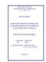 Đánh giá đặc điểm nông sinh học, khả năng kháng thuốc trừ cỏ glyphosate của các dòng ngô và tổ hợp lai 
