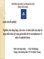 tổng hợp các họp chất dị vòng piaolin