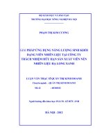 Giải pháp ứng dụng năng lượng tái tạo dạng viên nhiên liệu sinh khối tại công ty trách nhiệm hữu hạn sản xuất viên nén nhiên liệu hạ long xanh 