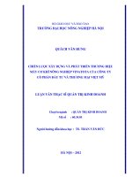 Chiến lược xây dựng và phát triển thương hiệu máy cơ khí nông nghiệp VINATOTA của công ty cổ phần đầu tư và thương mại việt mỹ 
