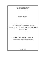 Phát triển nhân lực điều dưỡng tại các cơ sở y tế công lập tỉnh bắc giang đến năm 2020