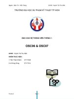 Những bộ dao động ổn định MODEL OSC06 và MODEL OSC07