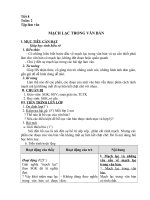 MẠCH LẠC TRONG VĂN BẢN (G. án của Đoàn Thị Hằng)