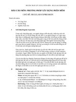 Báo cáo phương pháp xây dựng phần mềm regular expression