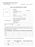 mau bao cao thanh tich ca nhan