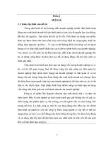 Phân tích tình hình sử dụng vốn tại công ty cổ phần hải nguyên