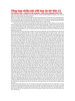 TỔNG HỢP NHỮNG BÀI VIẾT HAY ÔN THI 12