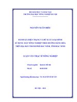 Đánh giá hiện trạng và đề xuất loại hình sử dụng đất nông nghiệp theo hướng hàng hoá trên địa bàn thành phố bắc ninh, tỉnh bắc ninh 