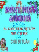Bài giảng tiếng việt 5 tuần 23 bài chú đi tuần4 