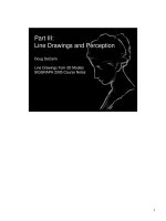 Line drawings and perception 