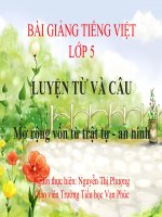 Bài giảng tiếng việt 5 tuần 23 bài mở rộng vốn từ trật tự an ninh4 