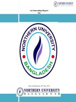 An internship report on production process  co ordination of ha meem group a study on next collections limited