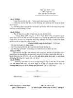 đê tuyen sinh vao lop 10 (dap an chi tiêt)