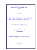 So sánh một số giống ngô lai mới tại một số vùng trồng ngô chính của tỉnh sơn la 