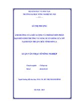 Ảnh hưởng của liều lượng và thời kỳ bón phân đạm đến sinh trưởng và năng suất giống lúa n97 tại huyện thuận châu tỉnh sợn la 