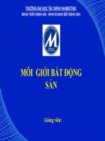 bài thuyết trình về một dự án bất động sản