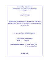 nghiên cứu ảnh hưởng của mật độ và lượng đạm bón đến sinh trưởng và năng suất lúa japonica j02 tại hưng yên