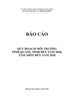 QUY HOẠCH MÔI TRƯỜNG TỈNH QUẢNG NINH ĐẾN NĂM 2020, TẦM NHÌN ĐẾN NĂM 2030