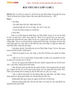 Bài viết tập làm văn số 1 lớp 11: Đề 2