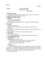 Tiết 21 (G.án của Đồng Thị Thanh)