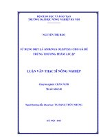 Sử dụng bột lá moringa oleifera cho gà đẻ trứng thương phẩm ai cập 