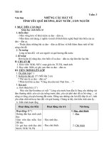 Tiết 10 (G.án của Đồng Thị Thanh)