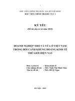 Doanh nghiệp nhỏ và vừa ở việt nam trong bối cảnh khủng hoảng kinh tế thế giới hiện nay