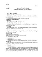 Tiết 17 (G.án của Đồng Thị Thanh)