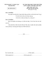 Đề thi học sinh giỏi lớp 12 THPT tỉnh Hải Dương năm học 2012 - 2013 môn Ngữ văn - Có đáp án