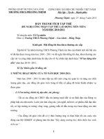 Bảng thành tích tổ tự nhiên năm học 2010 2011