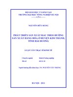 phát triển sản xuất rau theo hướng sản xuất hàng hóa ở huyện kim thành, tỉnh hải dương