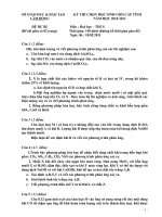 đề thi hsg dự bị