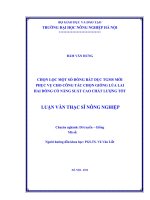 Chọn lọc một số dòng bất dục TGMS mới phục vụ cho công tác chọn giống lúa lai hai dòng có năng suất cao chất lượng tốt 
