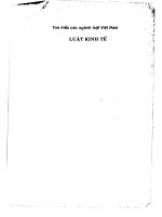 Luật Kinh tế: Tìm hiểu các ngành luật Việt Nam