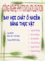 dung thuc vạt xu ly moi truong