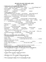 ĐỀ HỌC SINH GIỎI LỚP 9 (2010 2011)