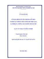 Sử dụng đệm lót nền chuồng lên men vi sinh vật trong chăn nuôi lợn thịt lai f1 (landrace x móng cái) tại sóc sơn, hà nội 