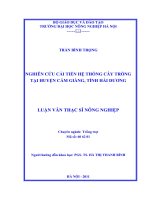 nghiên cứu cải tiến hệ thống cây trồng tại huyện cẩm giàng, tỉnh hải dương